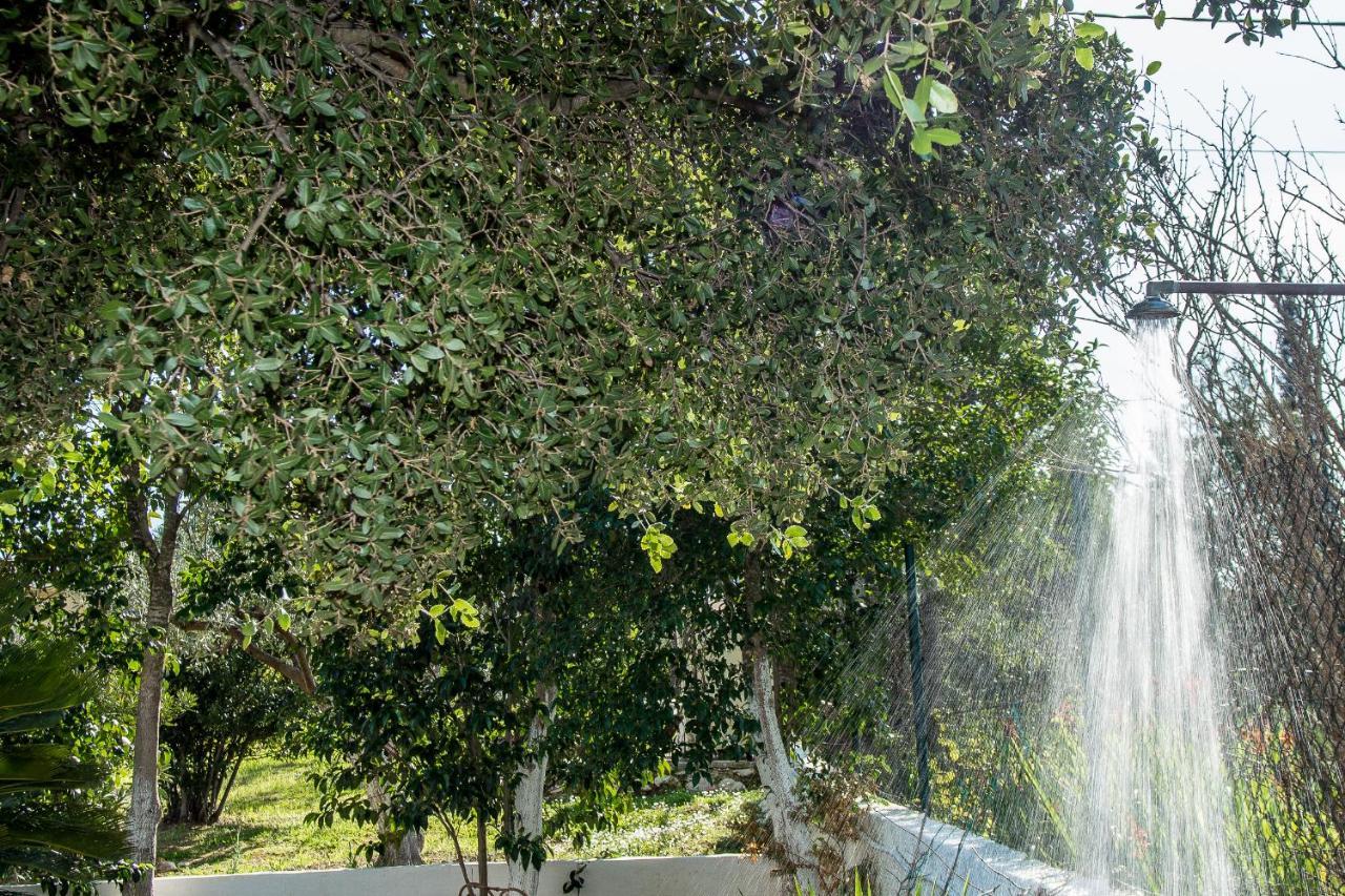 Villa Aelia - A Peaceful And Private Place Argostoli  Esterno foto